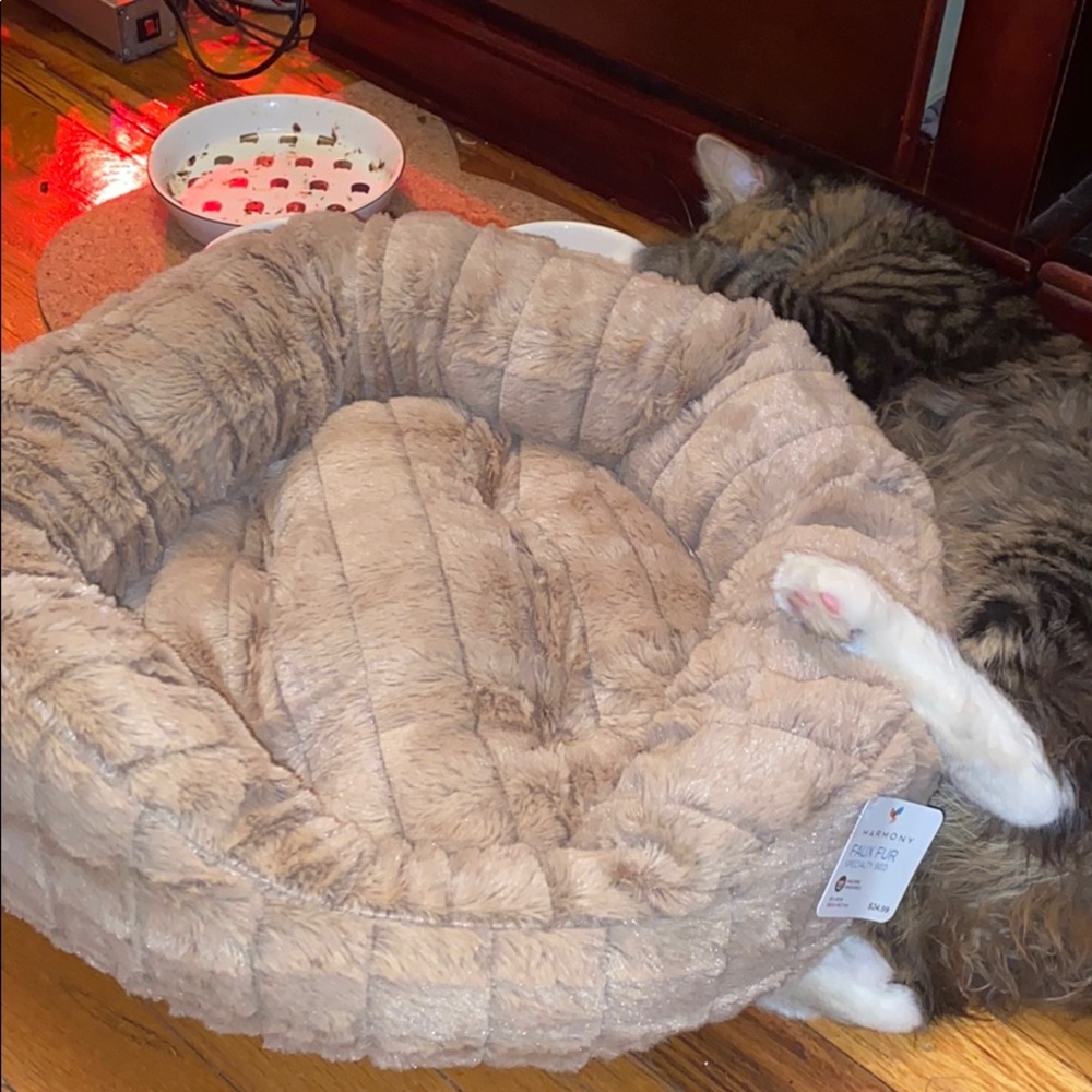 fluffy cat bed
